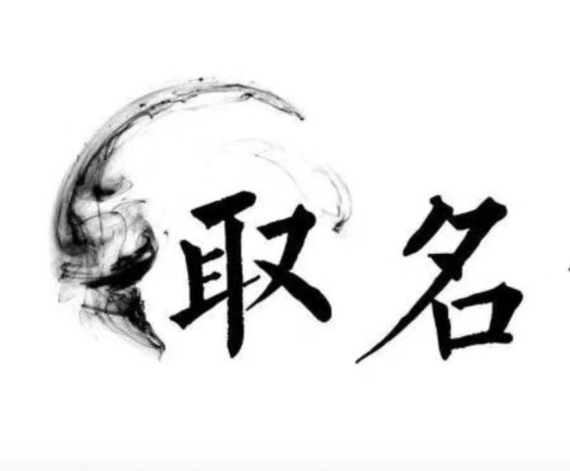  社旗宝宝取名 大师一对一人工起名