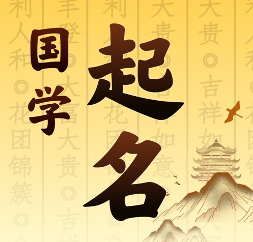 社旗国学起名 人工起名一对一